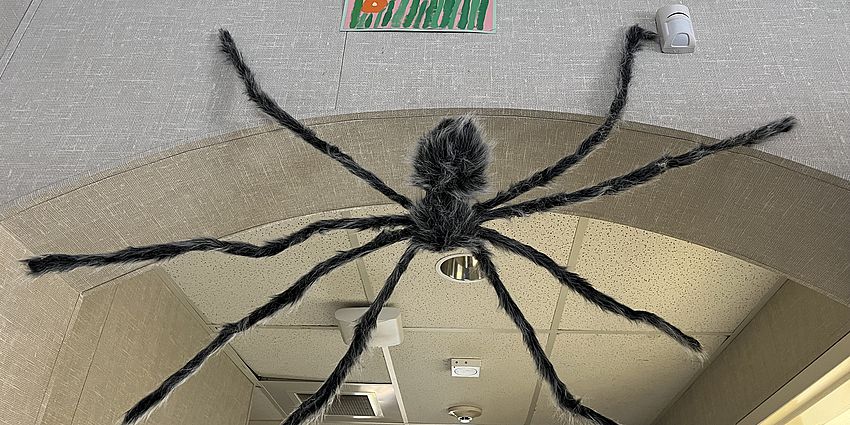 Halloween parade