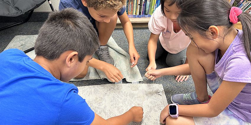 4 students working together