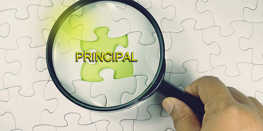 magnifying glass over a puzzle and the word "principal"